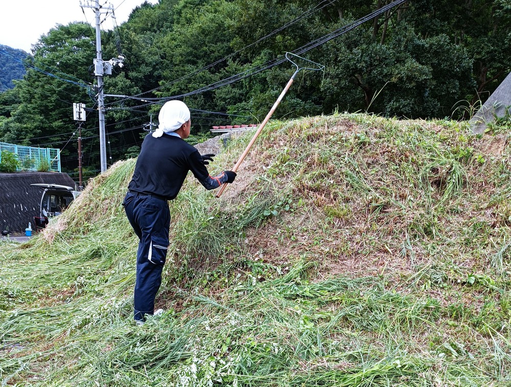 草刈り